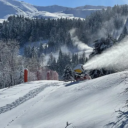 T2 Avec Balcon, Face Aux Pistes, Expose Sud, Commerces A Proximite - Fr-1-787-29 *